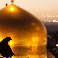 ۵۵% تخفیف به مناسبت سالروز ولادت امام رضا (ع) امام رضا