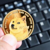 آیا Ledger Nano S برای دوج کوین مناسب است؟ Ledger Nano S
